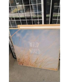 CADRE WILD WORLD