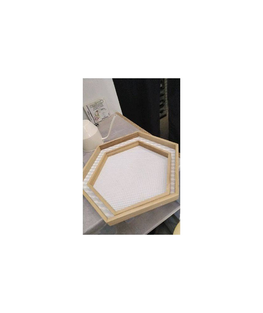 PLATEAU HEXAGONAL X2