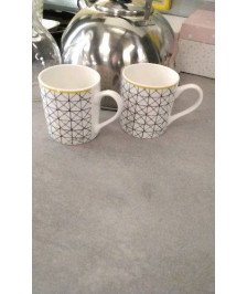 TASSES X2