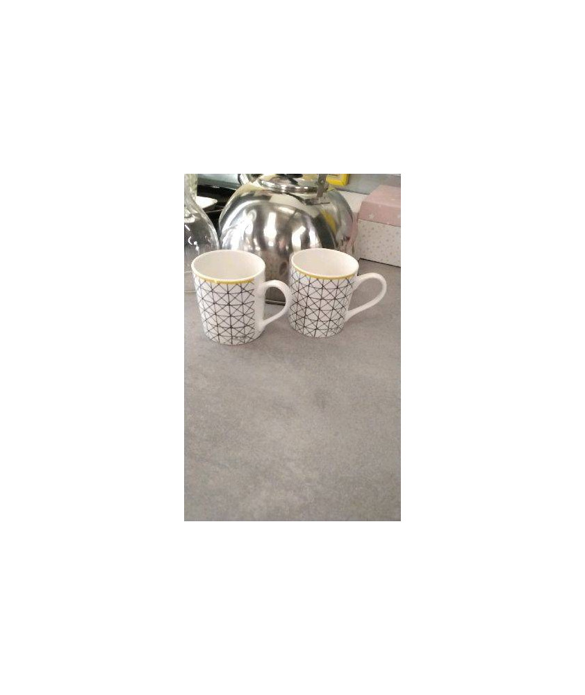 TASSES X2
