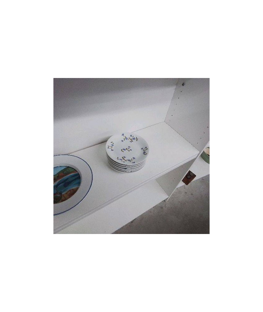 LOT DE 6 ASSIETTES AUX BLEUETS