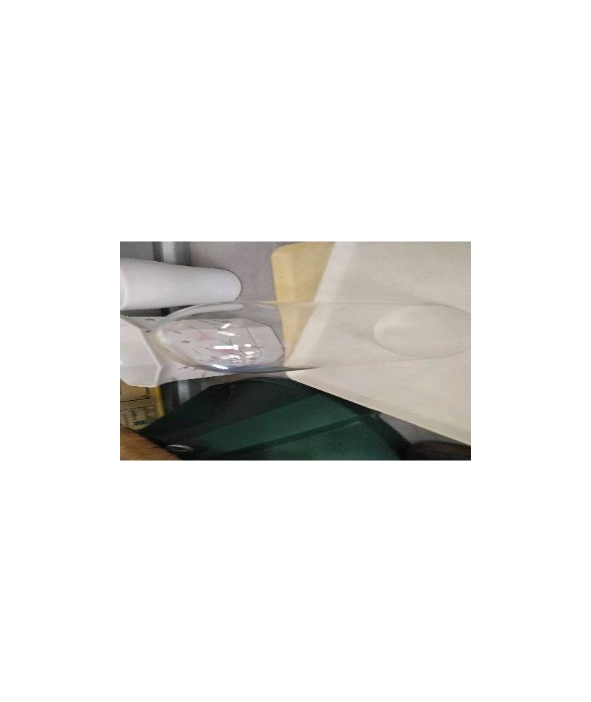 CLOCHE VERRE