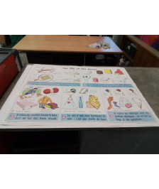 AFFICHE SCOLAIRE MDI LA MAIN LA PEAU ET LES FILS ET LES TISSUS 