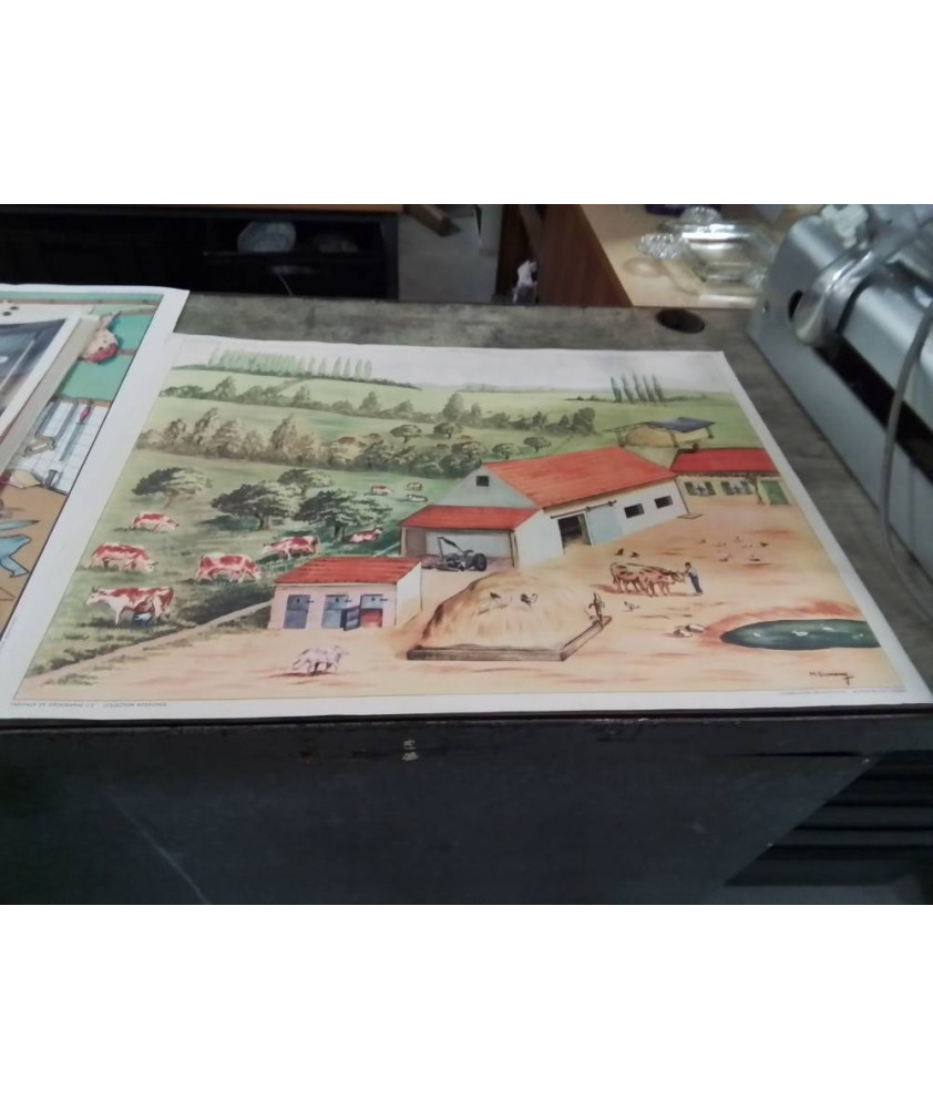 AFFICHE SCOLAIRE ROSSIGNOL LA FERME D ELEVAGE ET LA LAITERIE
