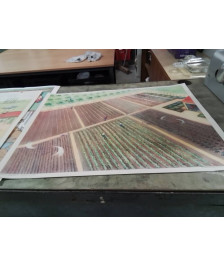 AFFICHE SCOLAIRE ROSSIGNOL UNE SCÈNE DE BATTAGE ET LES CULTURES MARAICHERES ET FRUITIERES