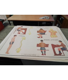 AFFICHE SCOLAIRE ROSSIGNOL LES MUSCLES ET HYGIÈNE DU SQUELETTE 