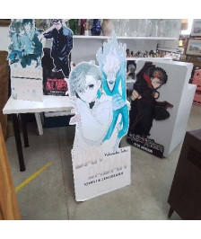 GRAND CARTON MANGA 