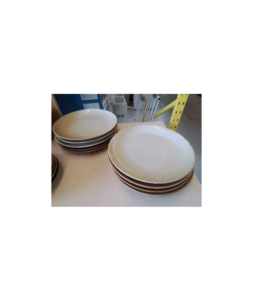 LOT 5 GRANDES ASSIETTES GRES VILLAGE