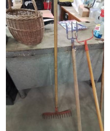 RATEAU 14 DENTS ORANGE 