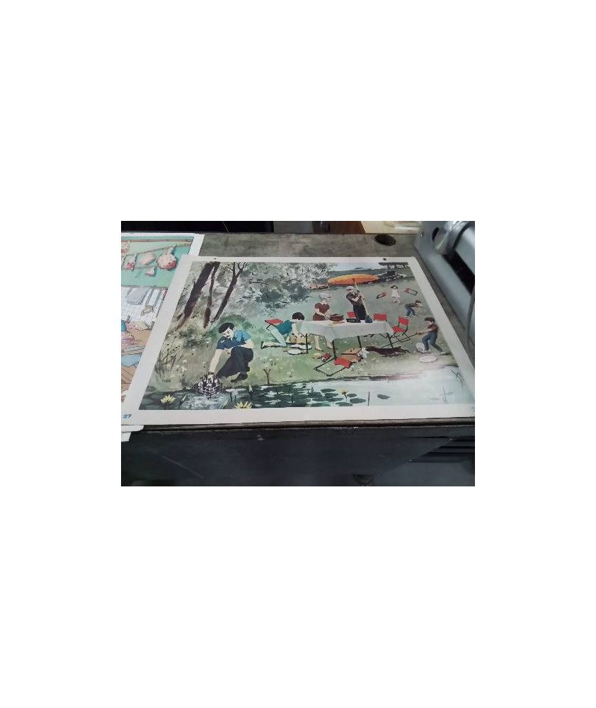 AFFICHE SCOLAIRE FERNAND NATHAN 1967 N0  27 ET 28