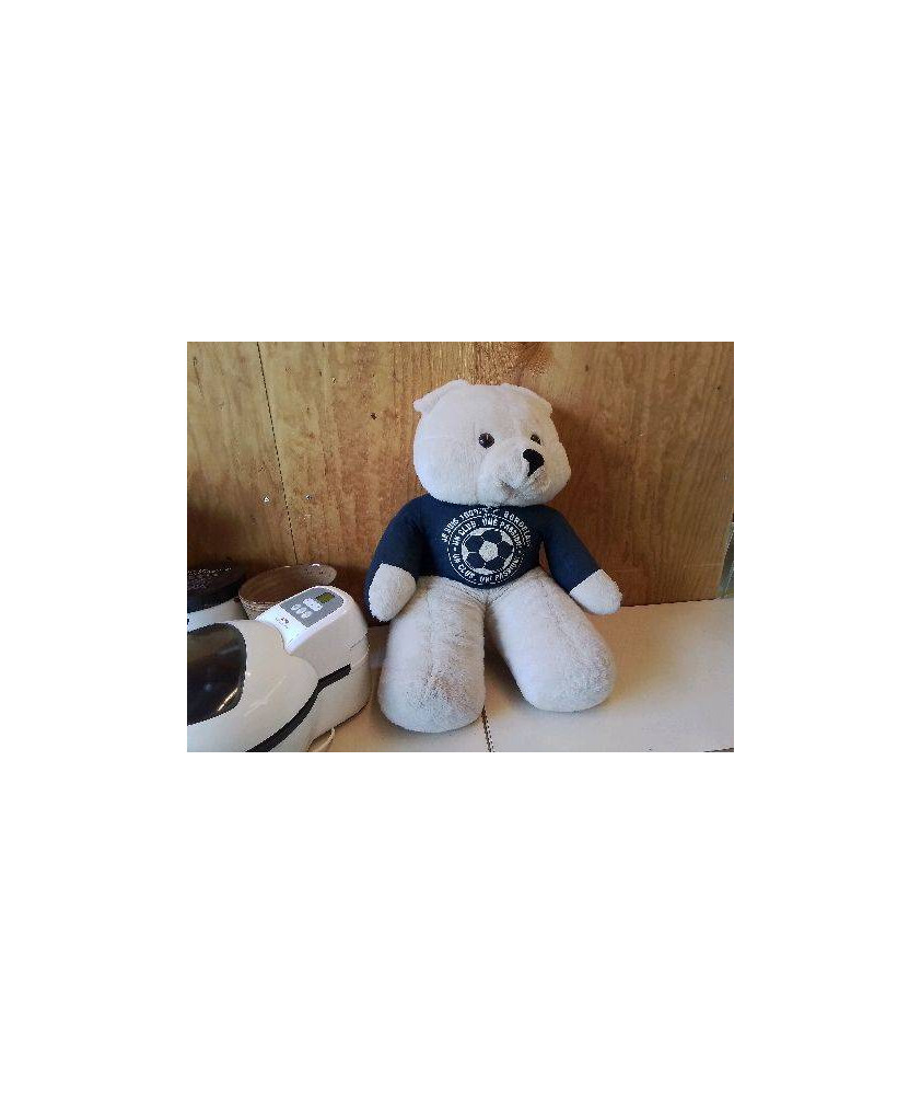 OURSON BORDELAIS