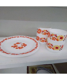 ARCOPAL VINTAGE 6 PIECES 