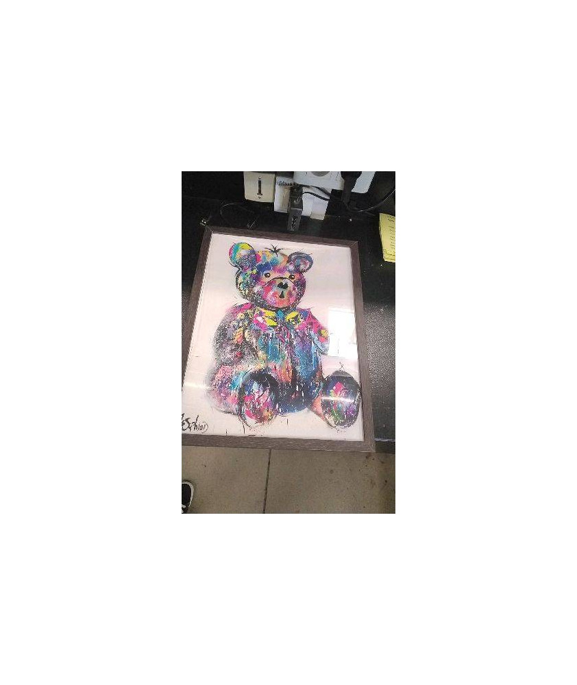 CADRE OURSON COULEURS 