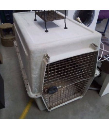 GRANDE CAGE
