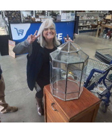 VITRINE AVEC VITRO