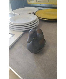 BOITE CANARD PM - EN L’ETAT