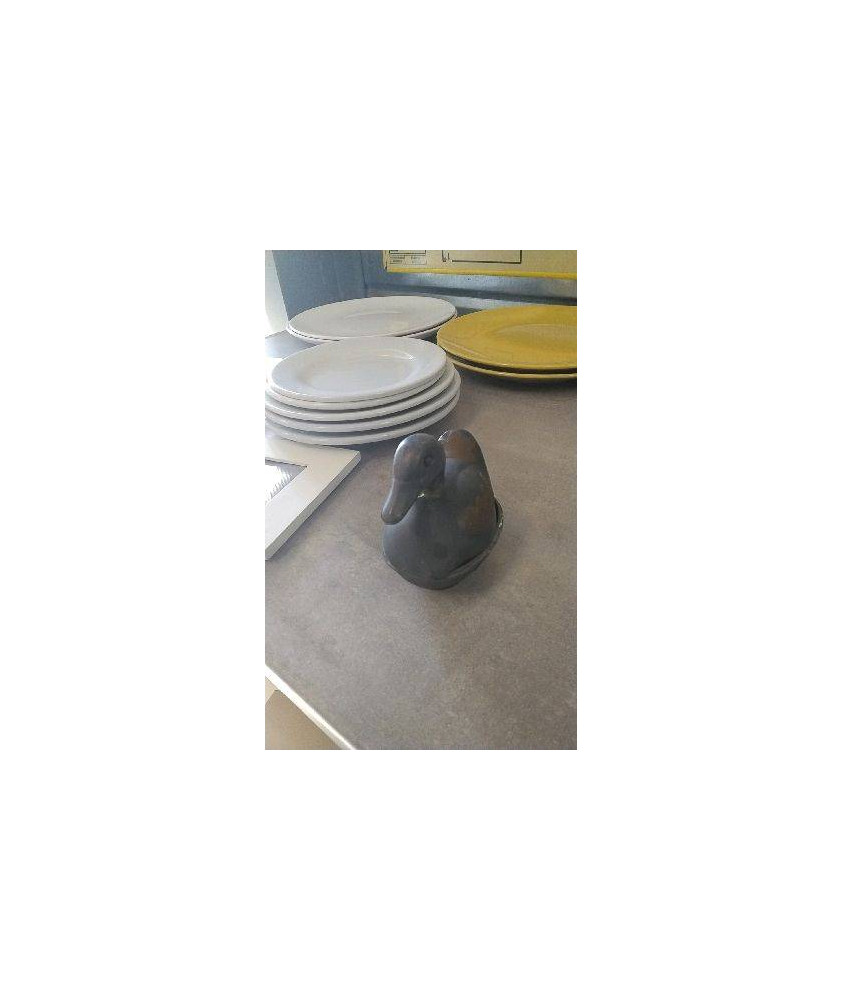 BOITE CANARD PM - EN L’ETAT