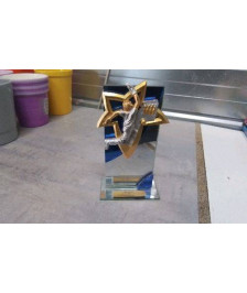 TROPHEE 