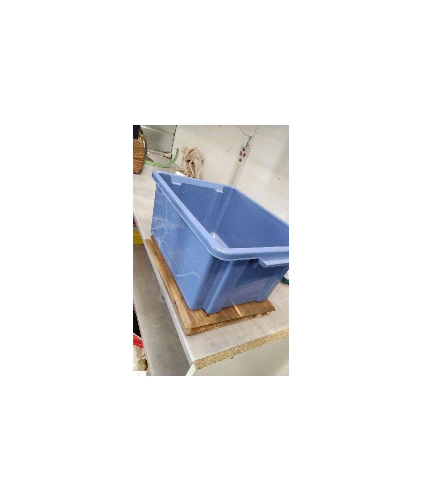 CAISSE PLASTIQUE BLEUE 
