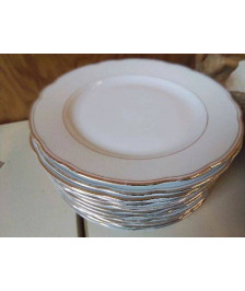 LOT DE 12 ASSIETTES EN PORCELAINE