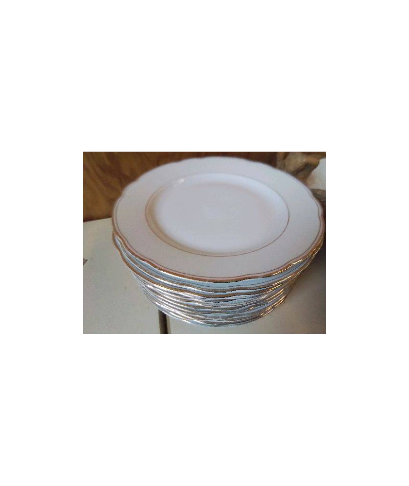 LOT DE 12 ASSIETTES EN PORCELAINE