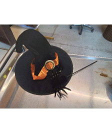 CHAPEAU DE SORCIERE 