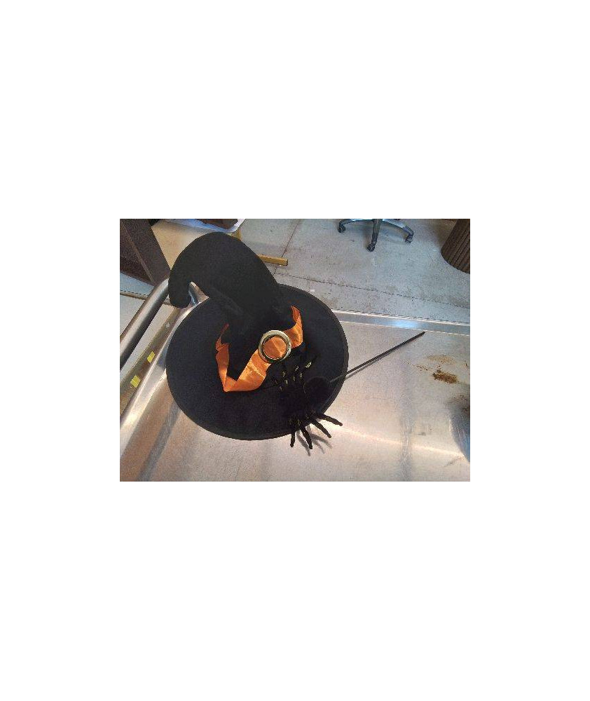 CHAPEAU DE SORCIERE 