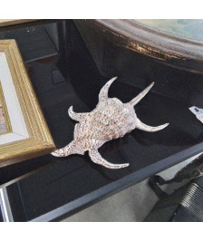 COQUILLAGE