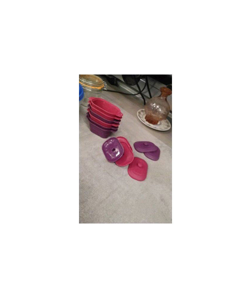 MINI COCOTTES SILICONE 