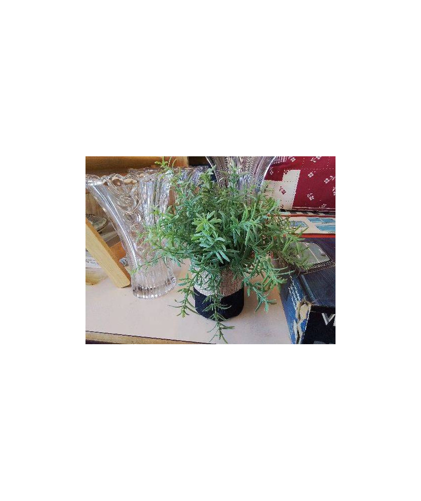 PLANTE SYNTHÉTIQUE 