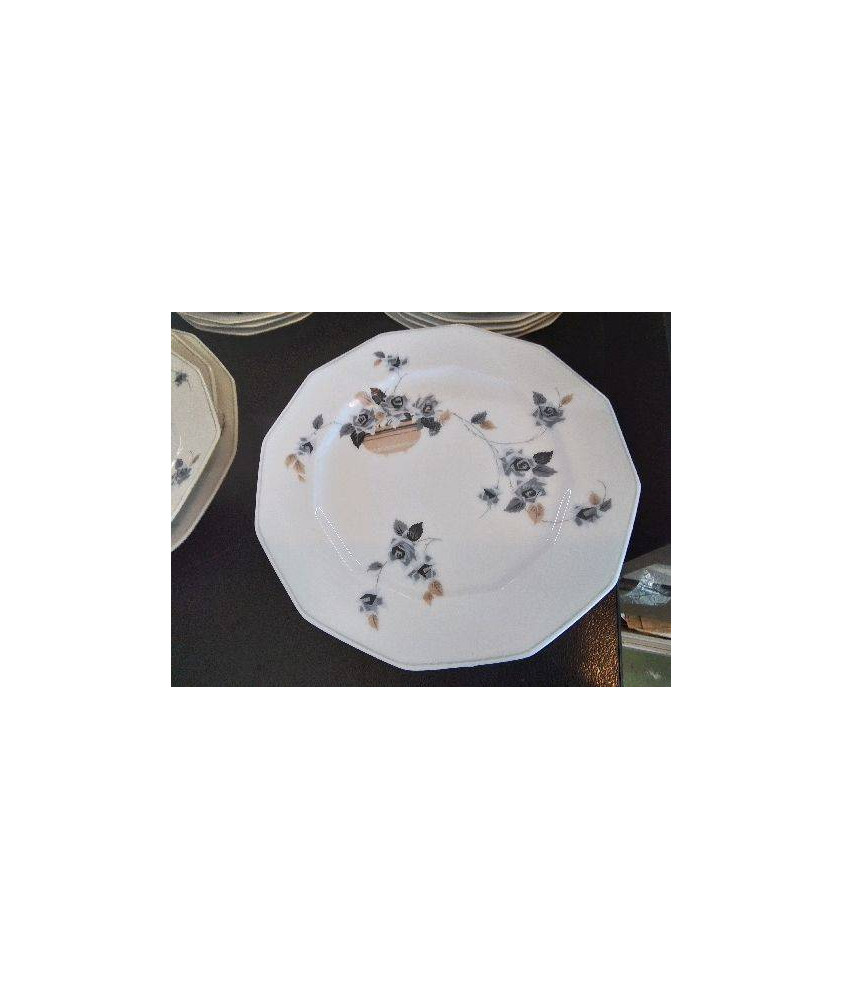 LOT DE 10 ASSIETTES EN PORCELAINE 