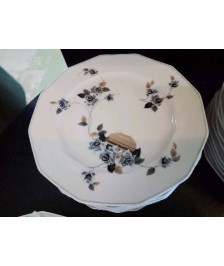 LOT DE 10 ASSIETTES EN PORCELAINE 
