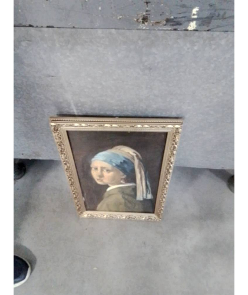 CADRE REPRO VERMER