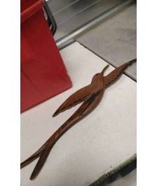 DECO BOIS OISEAU