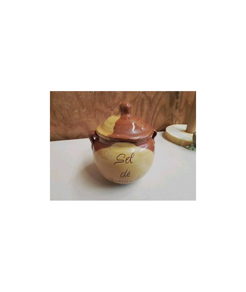 POT A SEL