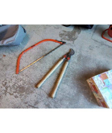 COUPE BRANCHE
