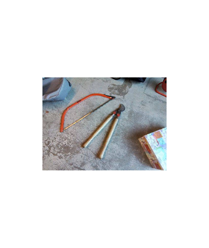 COUPE BRANCHE
