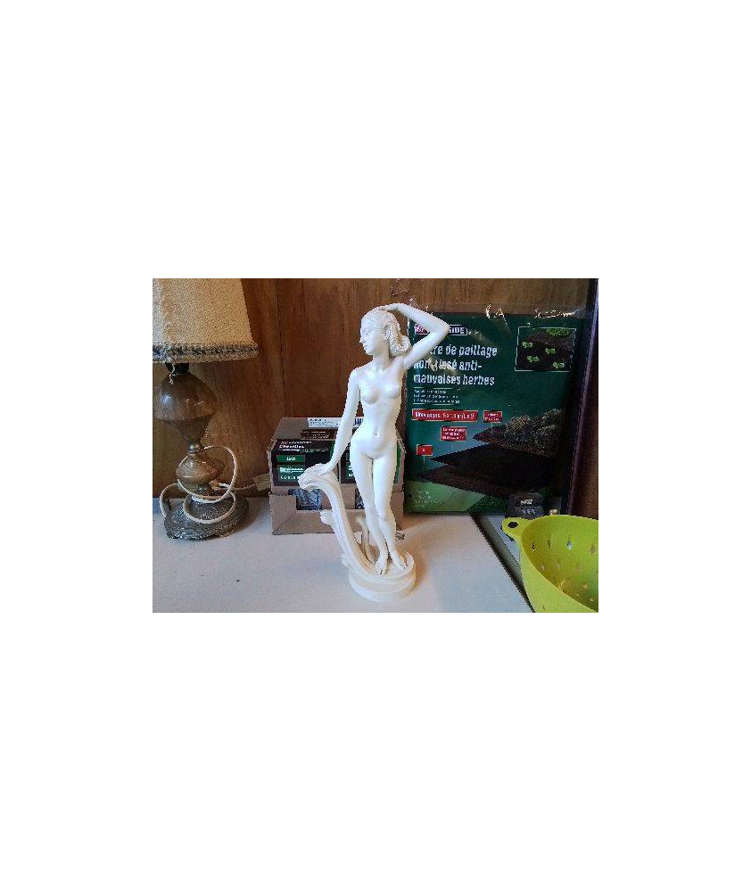 STATUETTE DAME NUE 