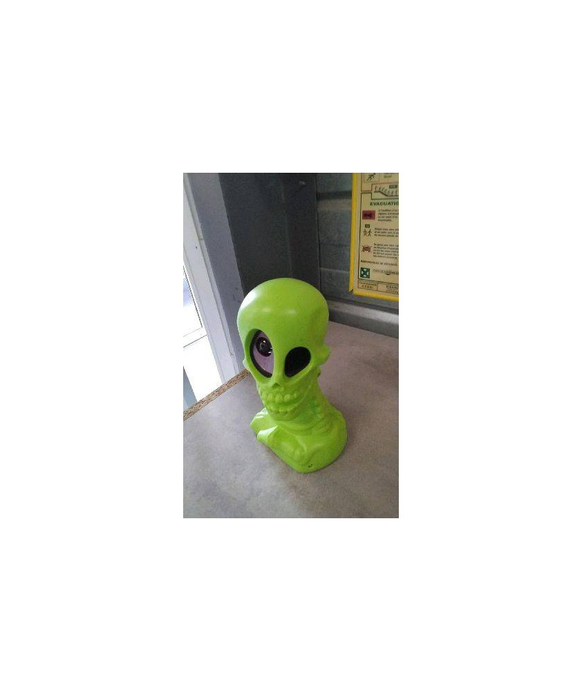 DECO SQUELETTE VERT- HALLOWEEN 