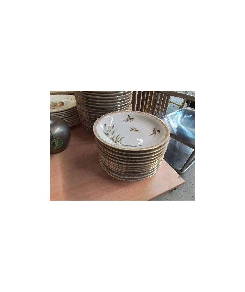 LOT 12 ASSIETTES EN PORCELAINE 