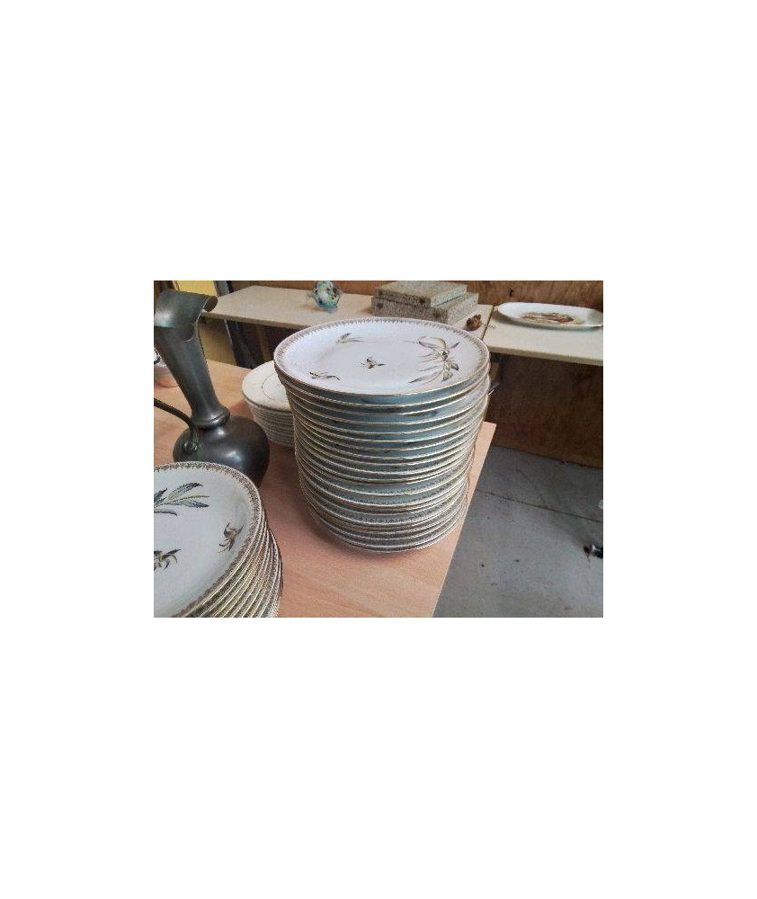 LOT 11 GRANDES ASSIETTES EN PORCELAINE 