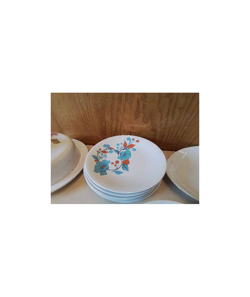 LOT DE 6 ASSIETTES PLATES MOTIF FLORAL 