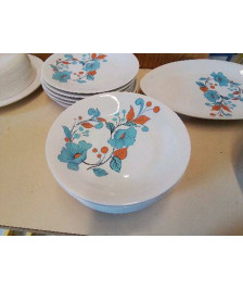 LOT DE 10 ASSIETTES CREUSES MOTIF FLORAL 