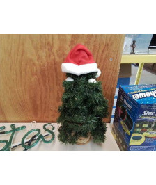 SAPIN 