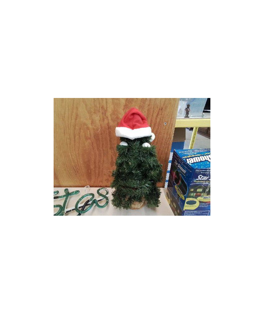 SAPIN 