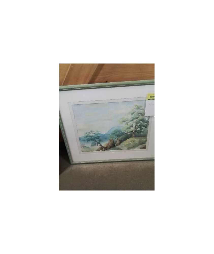 AQUARELLE FORÊT ET MONTAGNE COLETTE PRUDHOMME 