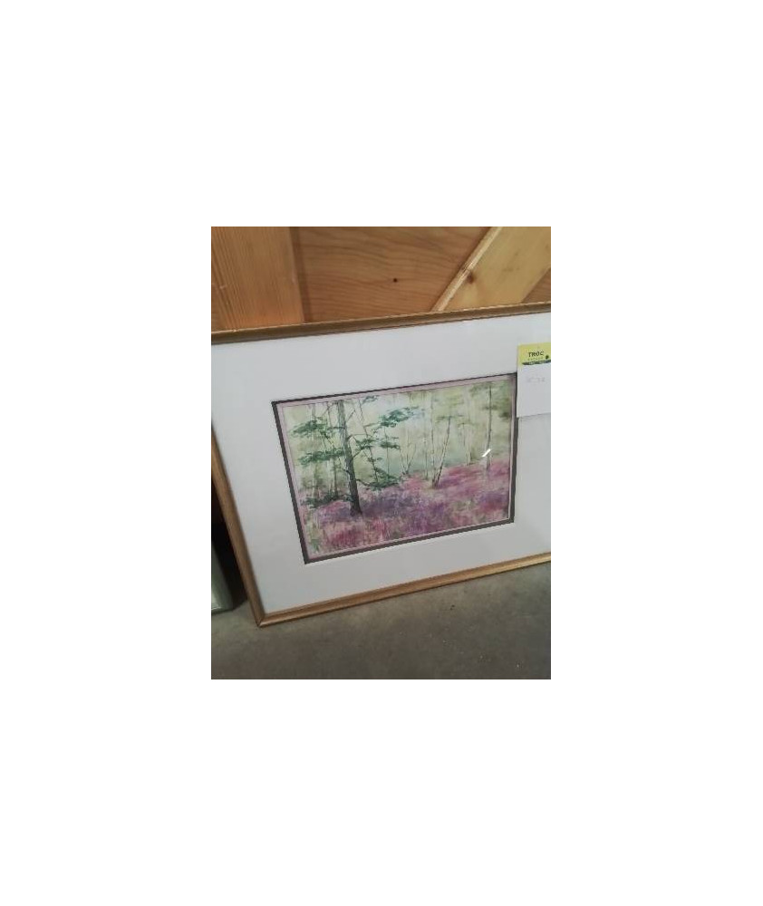 AQUARELLE FORÊT COLETTE PRUDHOMME 