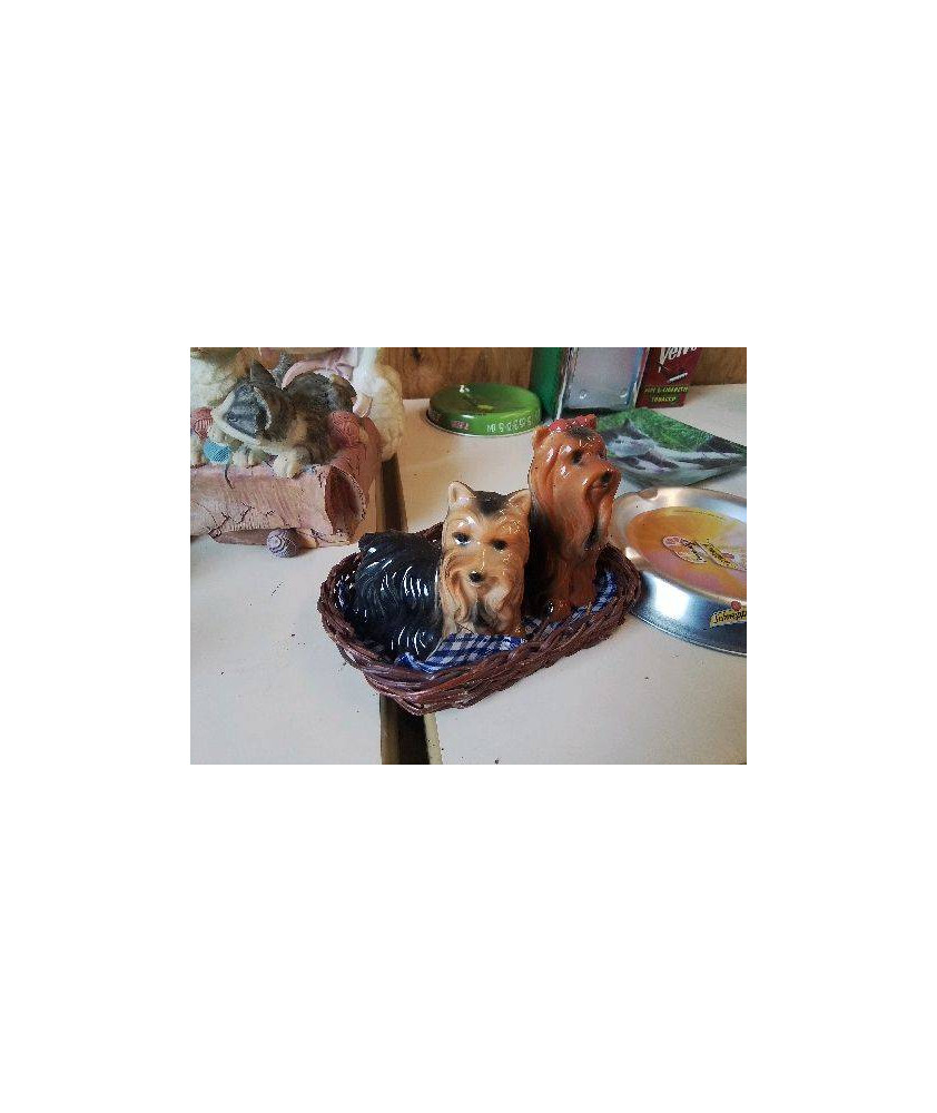 DUO SEL POIVRE CHIEN