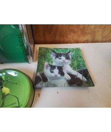 COUPELLE CHAT