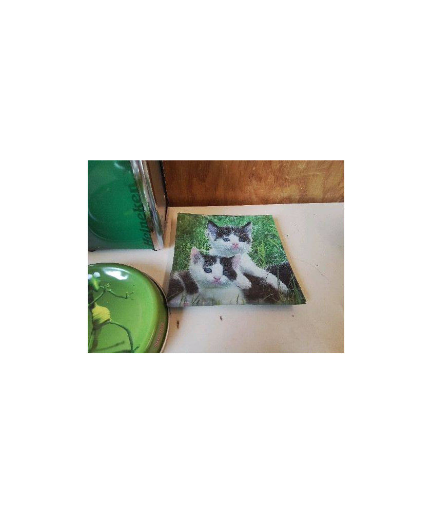 COUPELLE CHAT